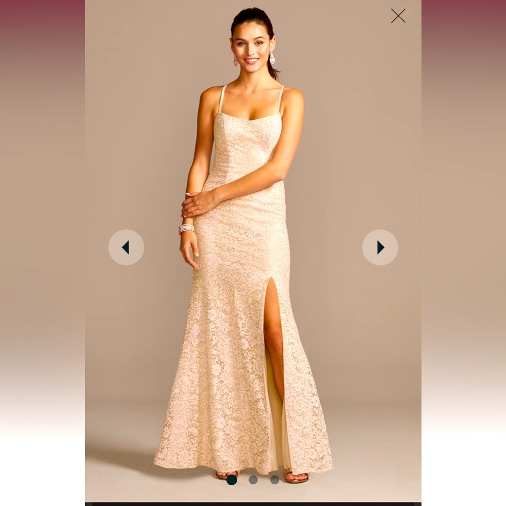 Lace mermaid gown